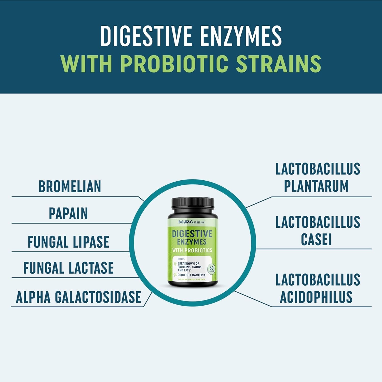 Digestive Enzymes 400MG with Probiotics for Digestive Health & Bloating Relief for Women & Men | Enzyme Blend with Probiotic Strains, anti Bloating Supplement for Women & Men | Non-Gmo Vegetarian 60Ct